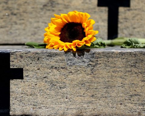 Itumbiara case raises alert for vicarious violence; understand