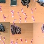 Operativo conjunto en Pedernales deja seis detenidos y decomiso de drogas