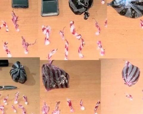 Operativo conjunto en Pedernales deja seis detenidos y decomiso de drogas