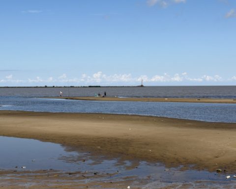 Juan Lacaze recovered Playa Verde by removing weeds and reeds
