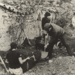 Accomarca Case | Telmo Hurtado Hurtado