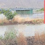 La Libertad: Chicama River destroys 10 hectares of avocado crops