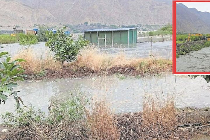 La Libertad: Chicama River destroys 10 hectares of avocado crops