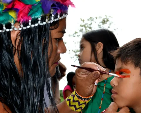 MEC announces construction of 117 indigenous schools