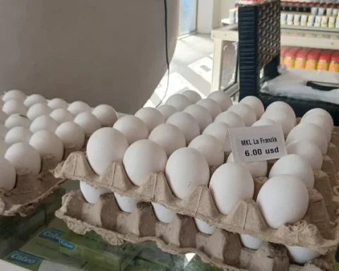 MSMEs become empty: "When the inventory runs out, we will have to close"