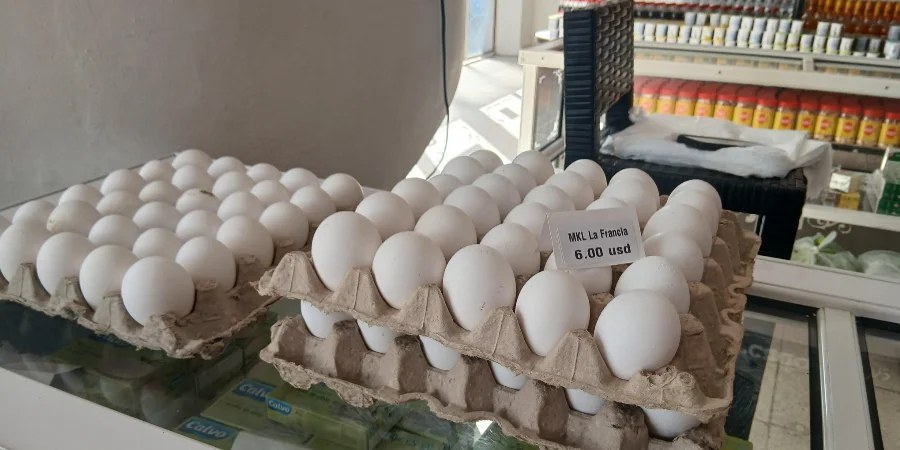 MSMEs become empty: "When the inventory runs out, we will have to close"