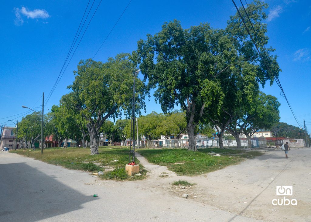 Manila Park, on the Hill