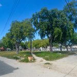 Manila Park, on the Hill