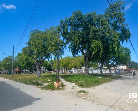 Manila Park, on the Hill