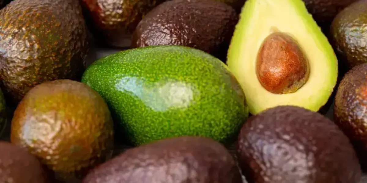 Mexican avocado breaks export record heading to the Super Bowl