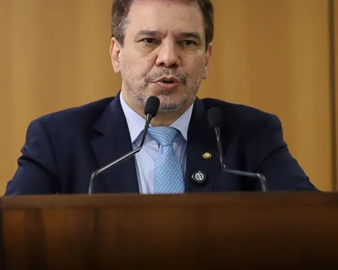 Minister calls for debate on resources to combat organized crime