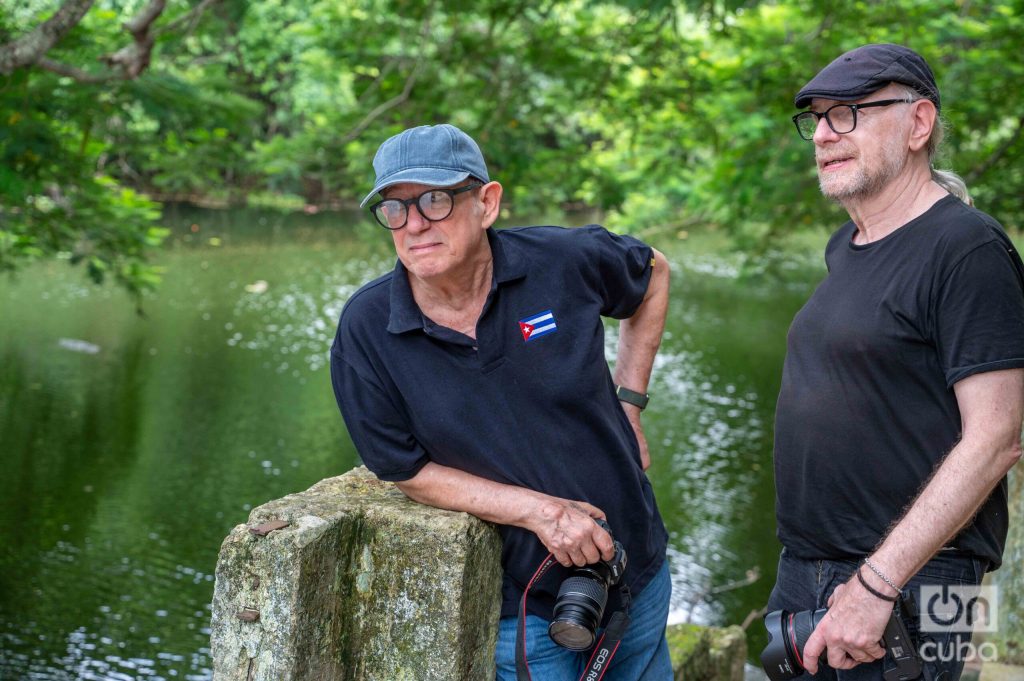 Mordzinski Sentiment