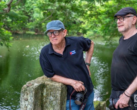 Mordzinski Sentiment