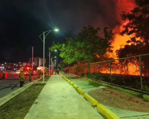 More than 19 hectares of the Guanta Valley affected by forest fire