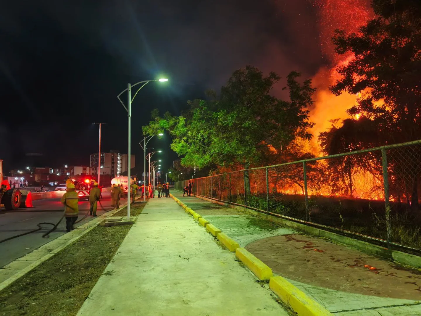 More than 19 hectares of the Guanta Valley affected by forest fire