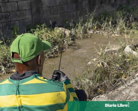 Mud, weeds and danger: the state of the southern sidewalk of Guarocuya
