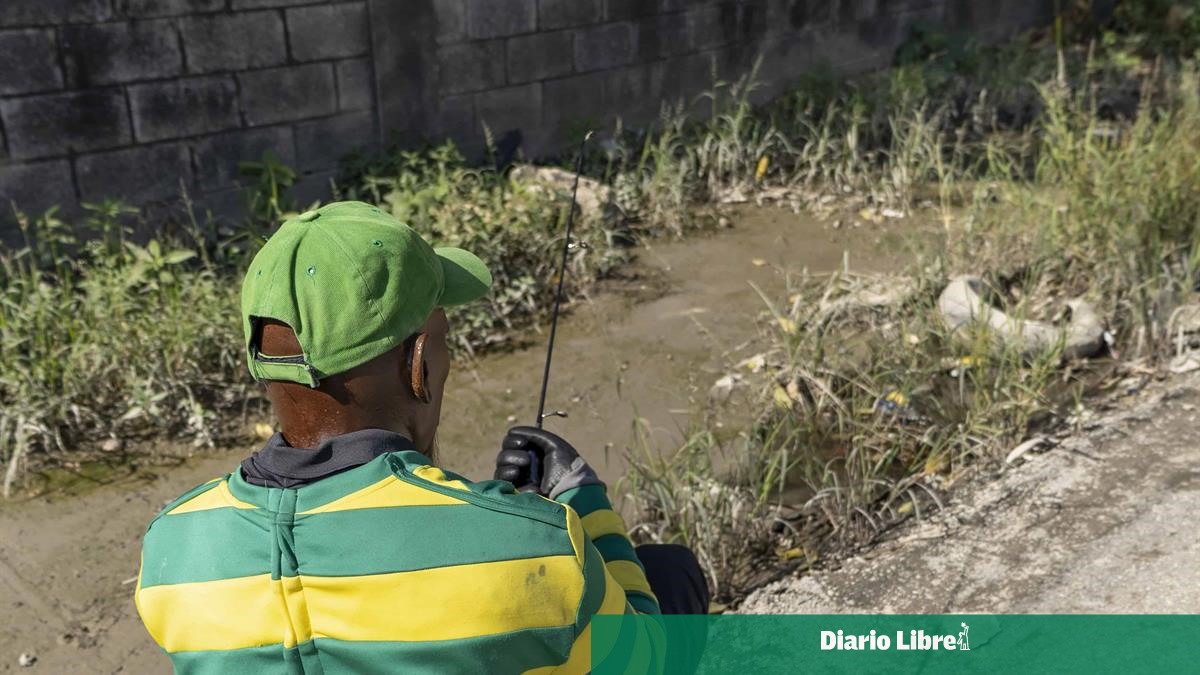 Mud, weeds and danger: the state of the southern sidewalk of Guarocuya