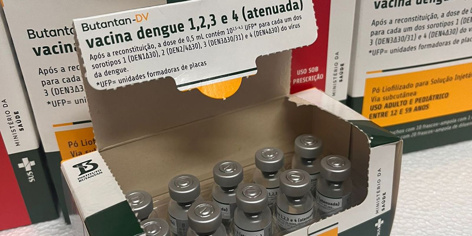Municipalities in Rio de Janeiro begin to receive dengue vaccine