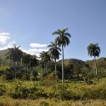 My teacher Águedo Alonso