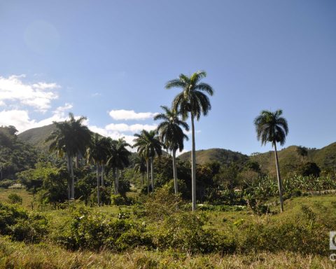 My teacher Águedo Alonso