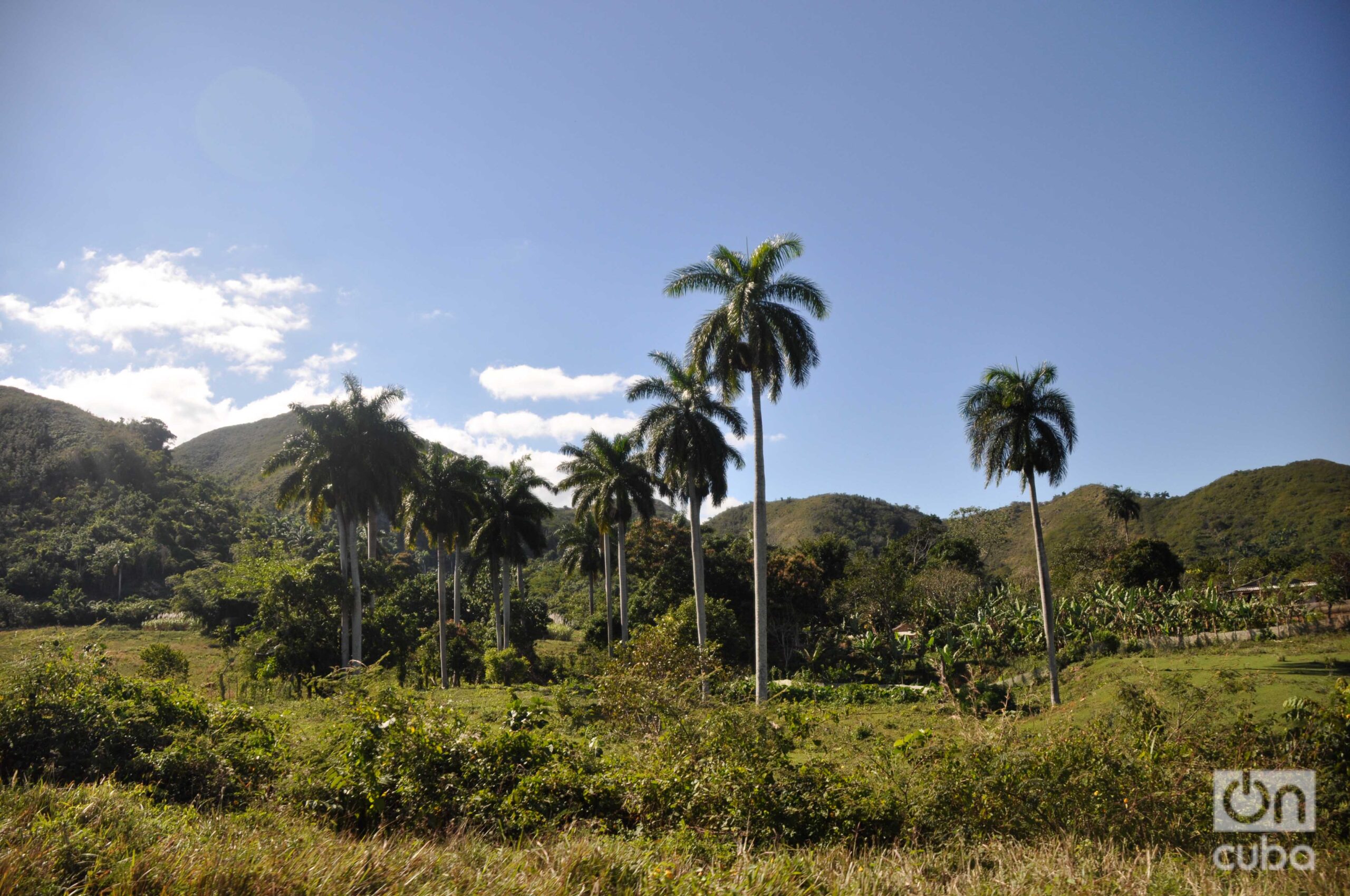 My teacher Águedo Alonso
