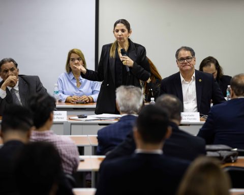 Nora Bracho defends that the amnesty law includes those accused of terrorism