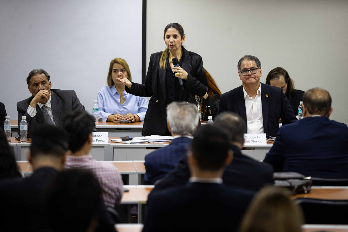 Nora Bracho defends that the amnesty law includes those accused of terrorism