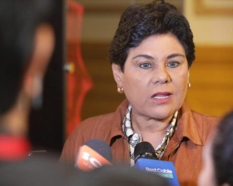 Norma Yarrow presents a project to eliminate public financing for parties