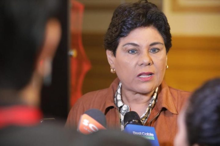 Norma Yarrow presents a project to eliminate public financing for parties