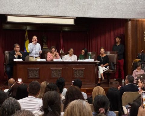 Diputados opositores Ley de Amnistía