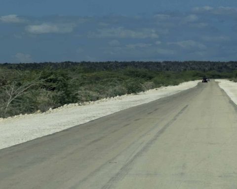 Pedernales at the forefront of investment projects in January