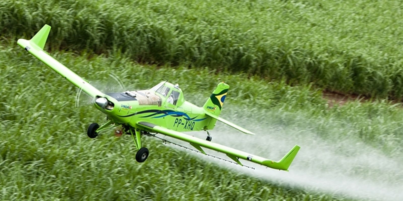 Pesticides are more harmful worldwide, study shows