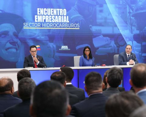 President (E) guaranteed respect for investment in the hydrocarbon sector