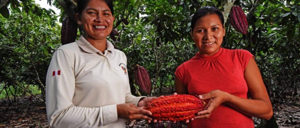 Profonanpe will grant up to US$600 thousand to Amazon conservation businesses