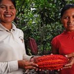 Profonanpe will grant up to US$600 thousand to Amazon conservation businesses