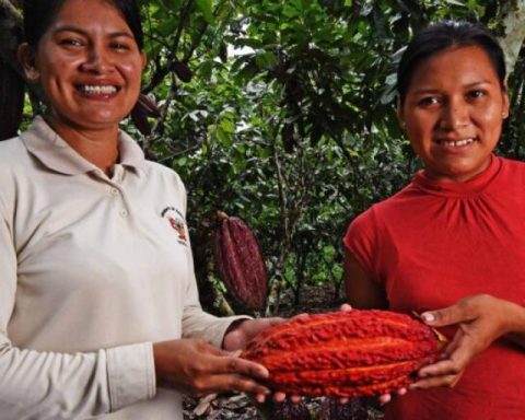Profonanpe will grant up to US$600 thousand to Amazon conservation businesses