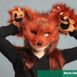 Public Health will work with medical societies against the rise of therians