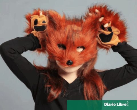 Public Health will work with medical societies against the rise of therians