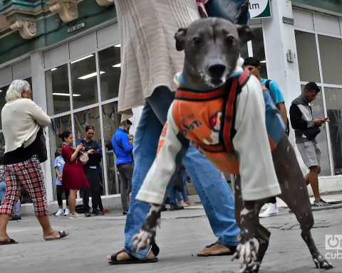 Record!: temperatures drop to zero degrees in Cuba