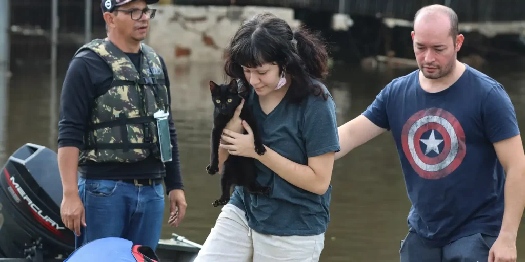 Senate approves policy to protect animals rescued in disasters