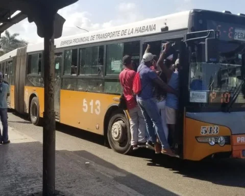 El transporte público se encuentra prácticamente paralizado en todo el país