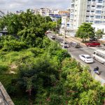 Snakes, garbage, the ordeal of a residential complex in Gascue