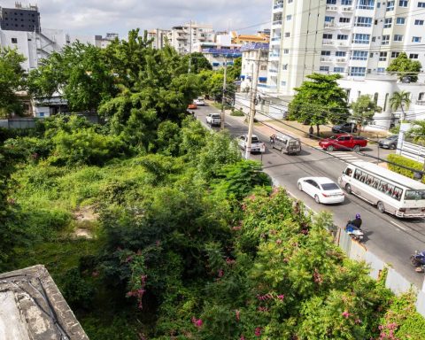 Snakes, garbage, the ordeal of a residential complex in Gascue