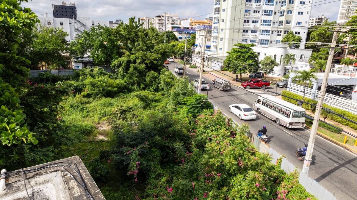 Snakes, garbage, the ordeal of a residential complex in Gascue