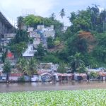 Social organizations welcome proposal to demolish the “Puente la 17”