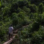 Teenagers lost in Río Tambo survive in the forest and return home