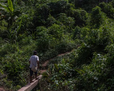 Teenagers lost in Río Tambo survive in the forest and return home