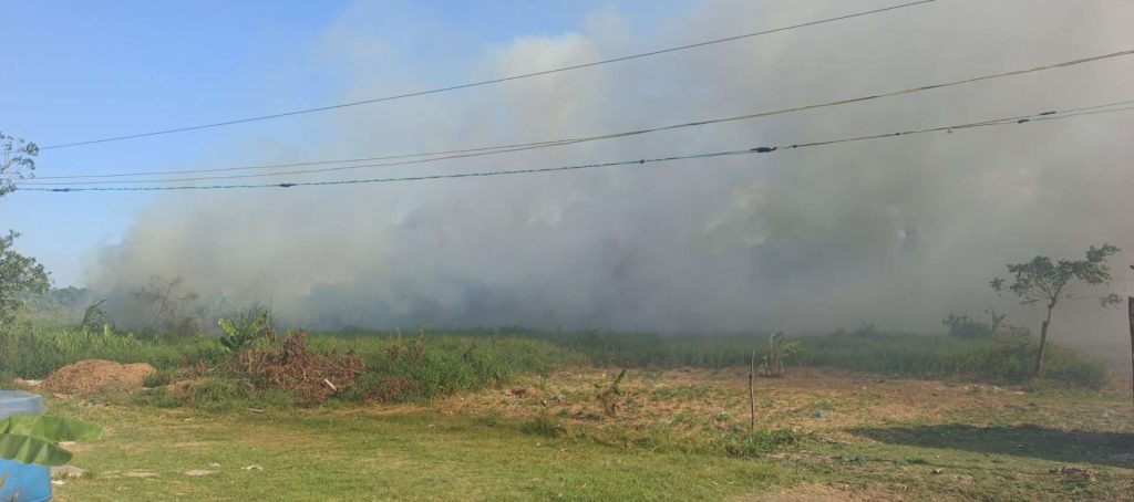 Ten forest fires were recorded in Delta Amacuro in two weeks