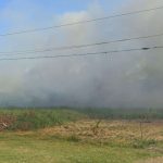 Ten forest fires were recorded in Delta Amacuro in two weeks