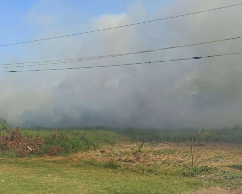 Ten forest fires were recorded in Delta Amacuro in two weeks